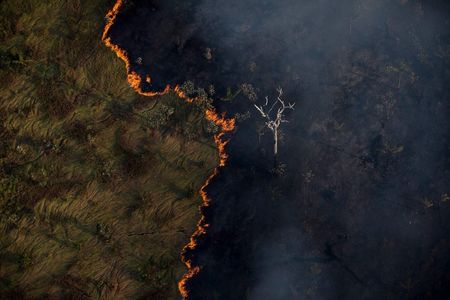 法定アマゾンでの森林火災（Bruno Kelly/Amazonia Real）