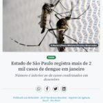 １月も２千人以上のデング熱患者確認と報じる３日付アジェンシア・ブラジルの記事の一部