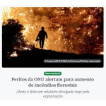 世界中で森林火災が増えていると警告する２３日付アジェンシア・ブラジルの記事の一部