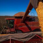 大豆の収穫の様子（CAN/Wenderson Araujo/Trilux）