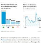 ２０２１年の熱帯雨林破壊の実態を示すグラフ（２８日付エスタード紙電子版の記事の一部）
