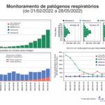 ２～５月の風邪様患者の原因となったウイルスの種類や数を示すグラフ（ITPS/Divulgação）