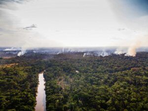 アマゾン森林火災の様子(Foto de Cícero Pedrosa Neto/Amazônia Real)
