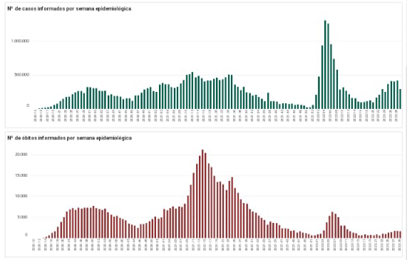 新型コロナ感染症の感染者と死者の週毎の推移（全国保健局長審議会公式サイトより）