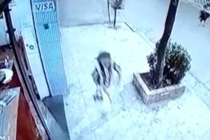 パン屋に買い物に行く途中のバルバラちゃん。街路の防犯カメラの映像（Reprodução/Redes sociais）