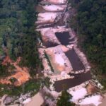 森林伐採の現場の一つ（Marizilda Cruppe/Amazon Watch/Amazônia Real）