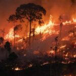 《ブラジル》一段と破壊が進むアマゾン＝８月の火災件数過去が最悪＝９月は３日間で昨年同月の半分