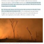 《ブラジル》異常乾燥続くセラード＝国立公園では火災も発生