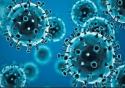 ２０２０年の死者急増の最大の原因となった新型コロナウイルス（Opas）