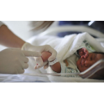 出産直後の赤ちゃん（Marcello Casal/Agencia Brasil）
