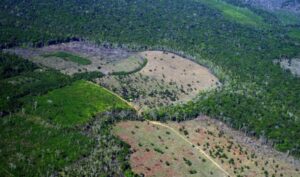 森林伐採で開発された農牧用地(Alberto César Araújo/Amazônia Real)