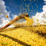 ＩＢＧＥ＝穀物などの生産量見直し＝１月の予測より１・３％減少