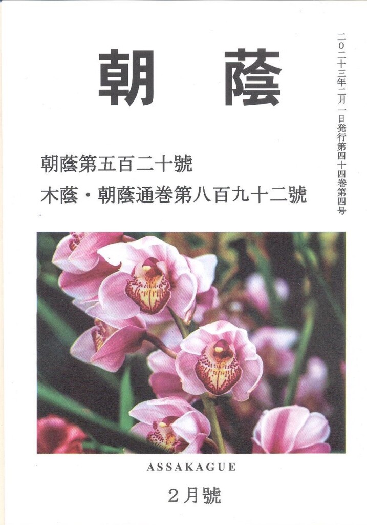 朝蔭５２０号