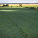 農業生産に気候変動の影響＝昨年は大豆が１・７％減産