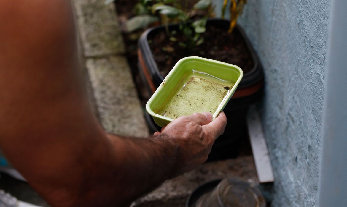 ボウフラの発生源となるたまり水（Fernando Frazao/Agencia Brasil）