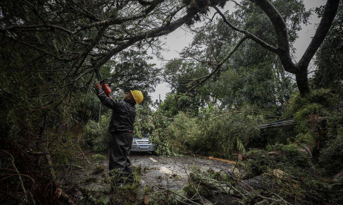 土砂崩れや倒木などで交通が遮断された高速道（©Prefeitura POA/Divulgacao）