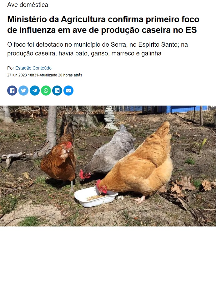 家庭で飼育している家禽類で感染例確認と報じる２７日付インフォマネーサイトの記事の一部