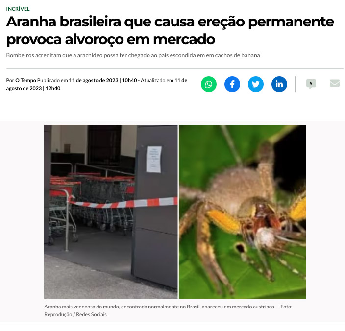 ブラジルに生息する毒蜘蛛（１１日付オ・テンポ・サイトの記事の一部）