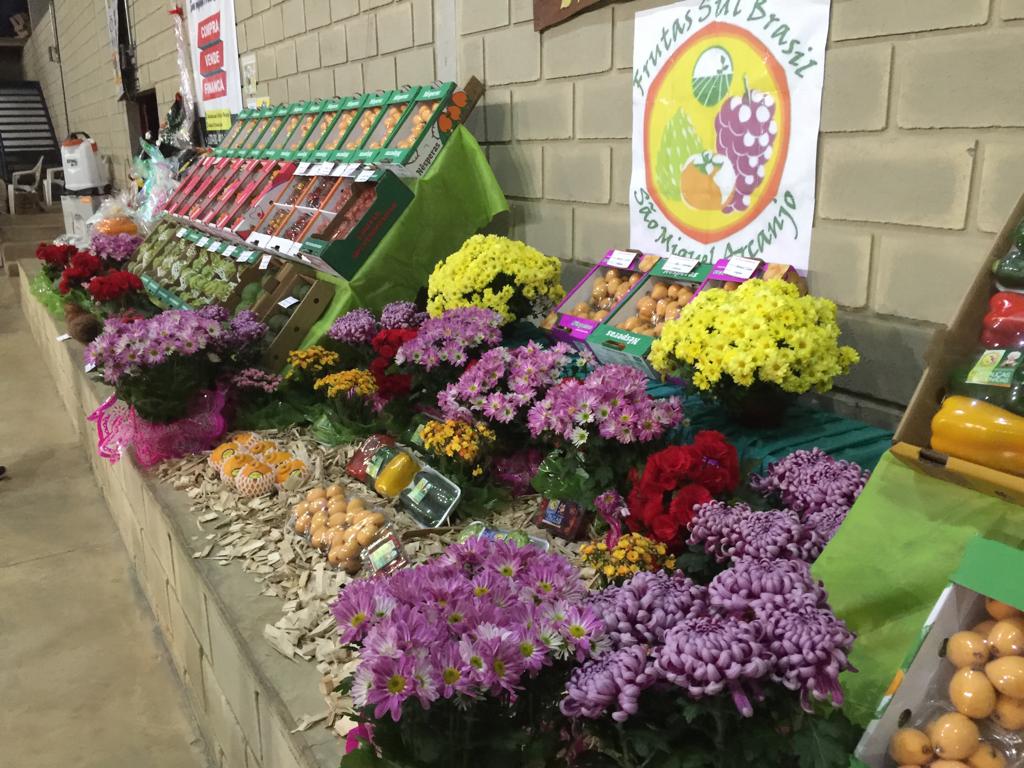 ２０１９年に販売された新鮮な農産物