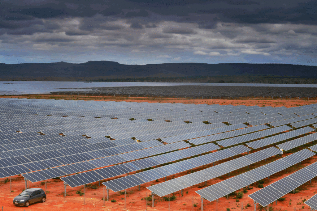 ブラジル最大級のミナス州のピラポーラ太陽光発電所（CoyoteBR）