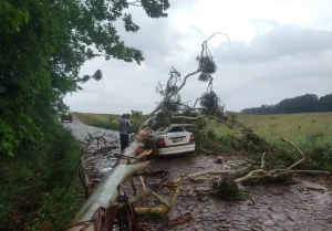 倒木に直撃され、死者も出た乗用車（Corpo de Bombeiros/Divulgação）