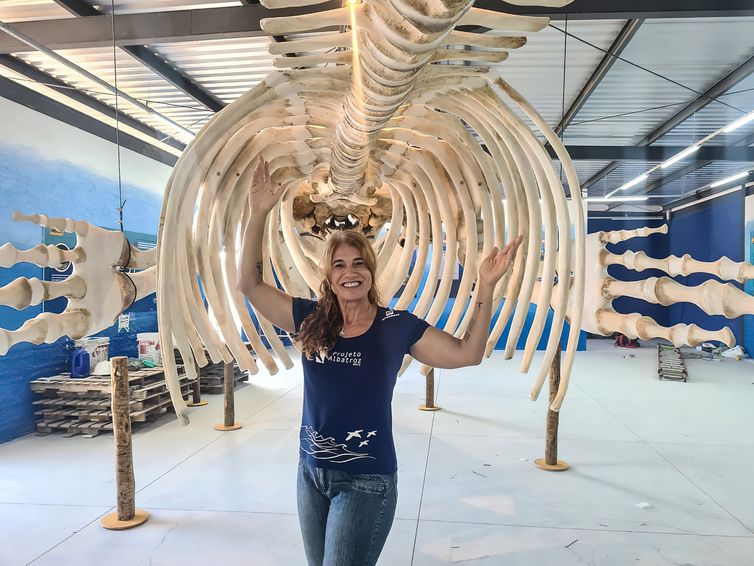 ザトウクジラの完全な骨格標本（Projeto Albatroz/Divulgação）ザトウクジラの完全な骨格標本（Projeto Albatroz/Divulgação）