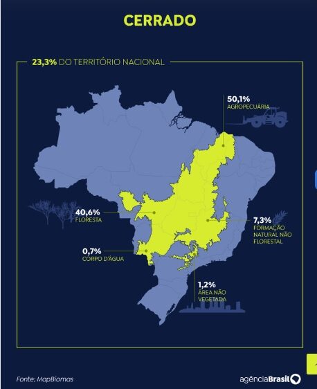 アジェンシア・ブラジルが作成したセラードの地図(11日付アジェンシア・ブラジル掲載分)