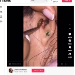 ＴｉｋＴｏｋでバズったゴキブリを除去する動画 （２日付ＣＮＮサイトの記事の一部）