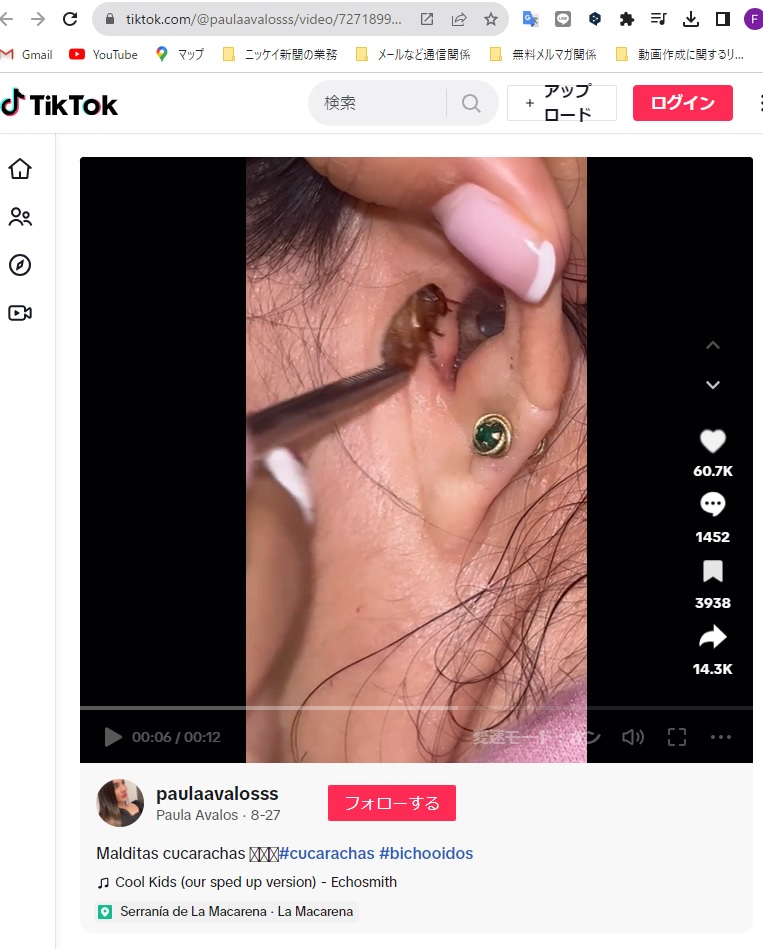ＴｉｋＴｏｋでバズったゴキブリを除去する動画<br/>（２日付ＣＮＮサイトの記事の一部）