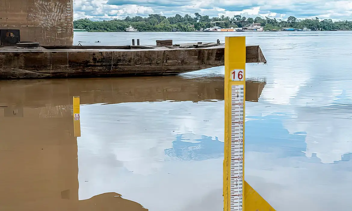 干ばつで水位が低下した川（©Defesa Civil/Porto Velho）