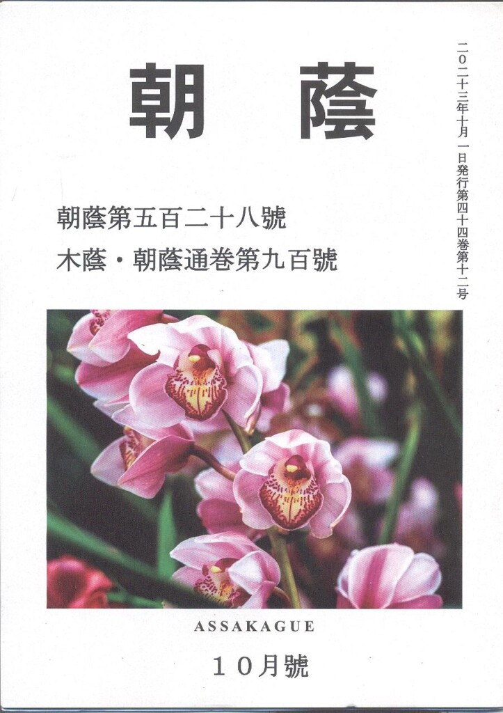 木陰・朝蔭通巻９００号