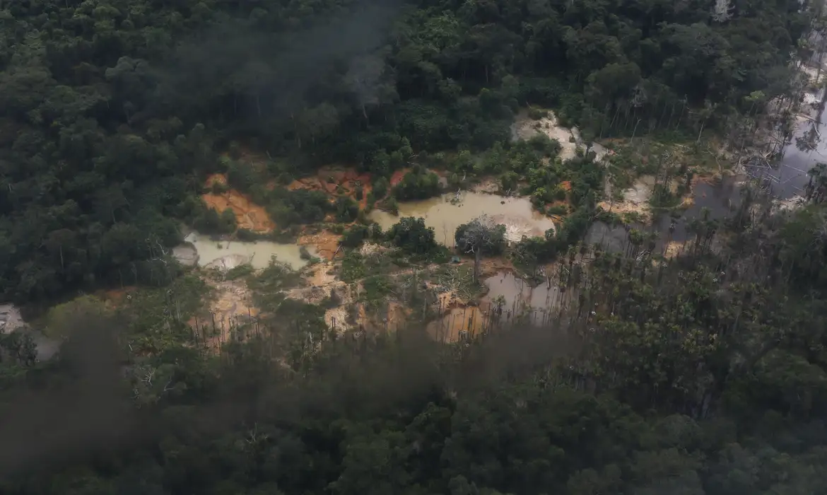 先住民族居住地での金の不法採掘現場（©Fernando Frazao/Agencia Brasil）