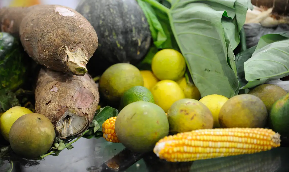 残留農薬の検査の対象となる野菜や果物（©Fernando Frazao/Agencia Brasil）