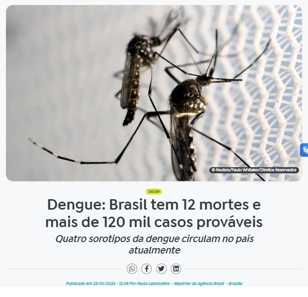 今年はデング熱が急増中と報じる２５日付アジェンシア・ブラジルの記事の一部