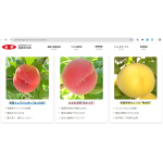 全農福島県本部サイトにある美味しそうな桃の数々（https://www.zennoh.or.jp/fs/product/seasons/seika/）