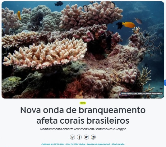 ブラジルのサンゴ礁でも白化が起き始めたと報じる13日付アジェンシア・ブラジルの記事の一部