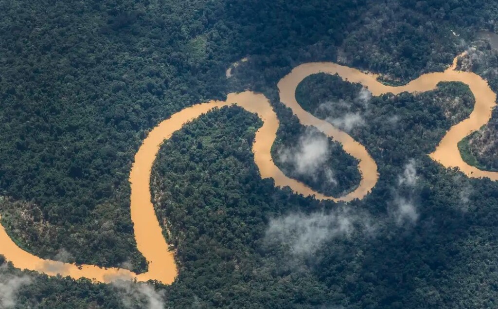 上空から見たヤノマミ族の居住地（©Fernando Frazao/Agencia Brasil）