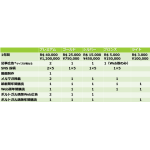 「ブラジル日報サポータープログラム」プラン表