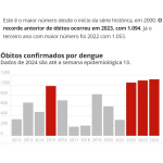 デング熱による死者数の年毎の推移（8日付G1サイトの記事の一部）