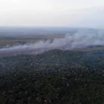 パラー州アルテル・ド・ションの消防隊が記録した森林火災（©Divulgacao Brigada de Alter do Chao/PA）