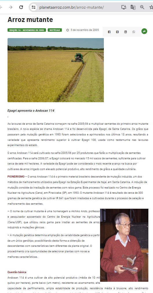 安藤氏の業績を報じるプラネッタ・アロイス・サイト（https://planetaarroz.com.br/arroz-mutante/）