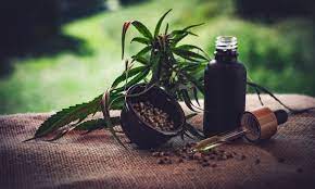 大麻のイメージ（CBD-Infos-com/Piabay）