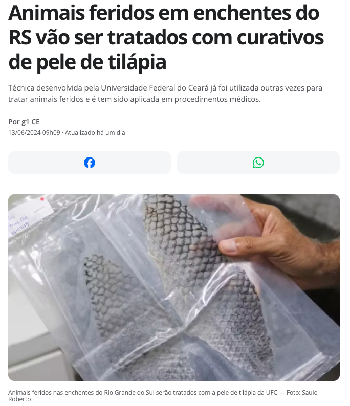 動物の治療に使用されるティラピアの皮（13日付G1サイトの記事の一部）