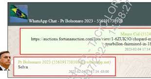 公開されたボルソナロ氏とシジ容疑者のやり取り（Reproducao）