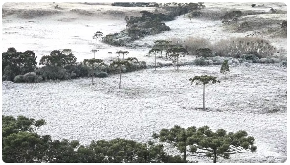 霜に覆われた丘陵地（São Joaquim Online/Divulgação）