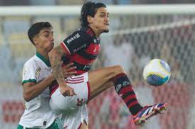 フラメンゴ対パルメイラス戦より（Cesar Greco/Palmeiras）