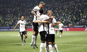 パルメイラス対ボタフォゴ戦（Vitor Silva/Botafogo）