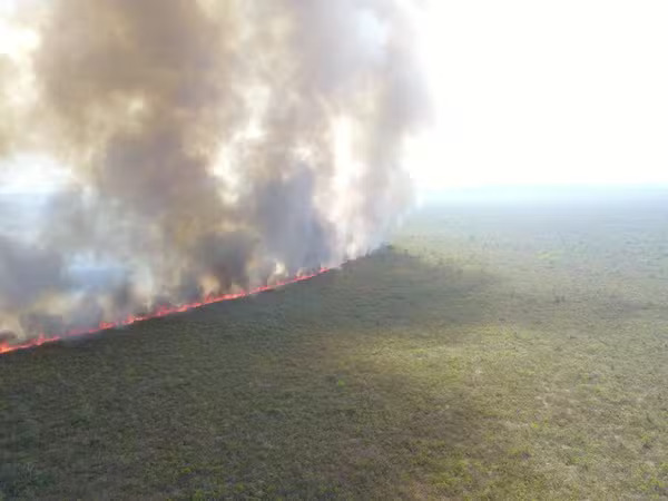 セラードでの森林火災の様子（Divulgação）