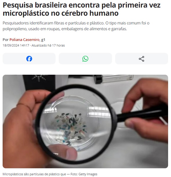 脳でもマイクロプラスチック発見と報じる１８日付Ｇ１サイトの記事の一部