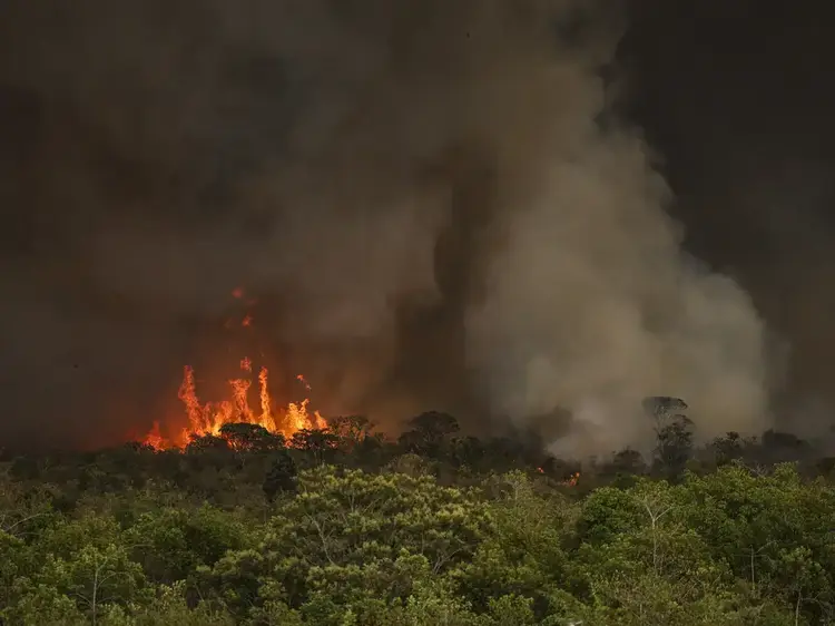環境面や健康面に甚大な影響をもたらす森林火災（©Marcelo Camargo/Agencia Brasil）